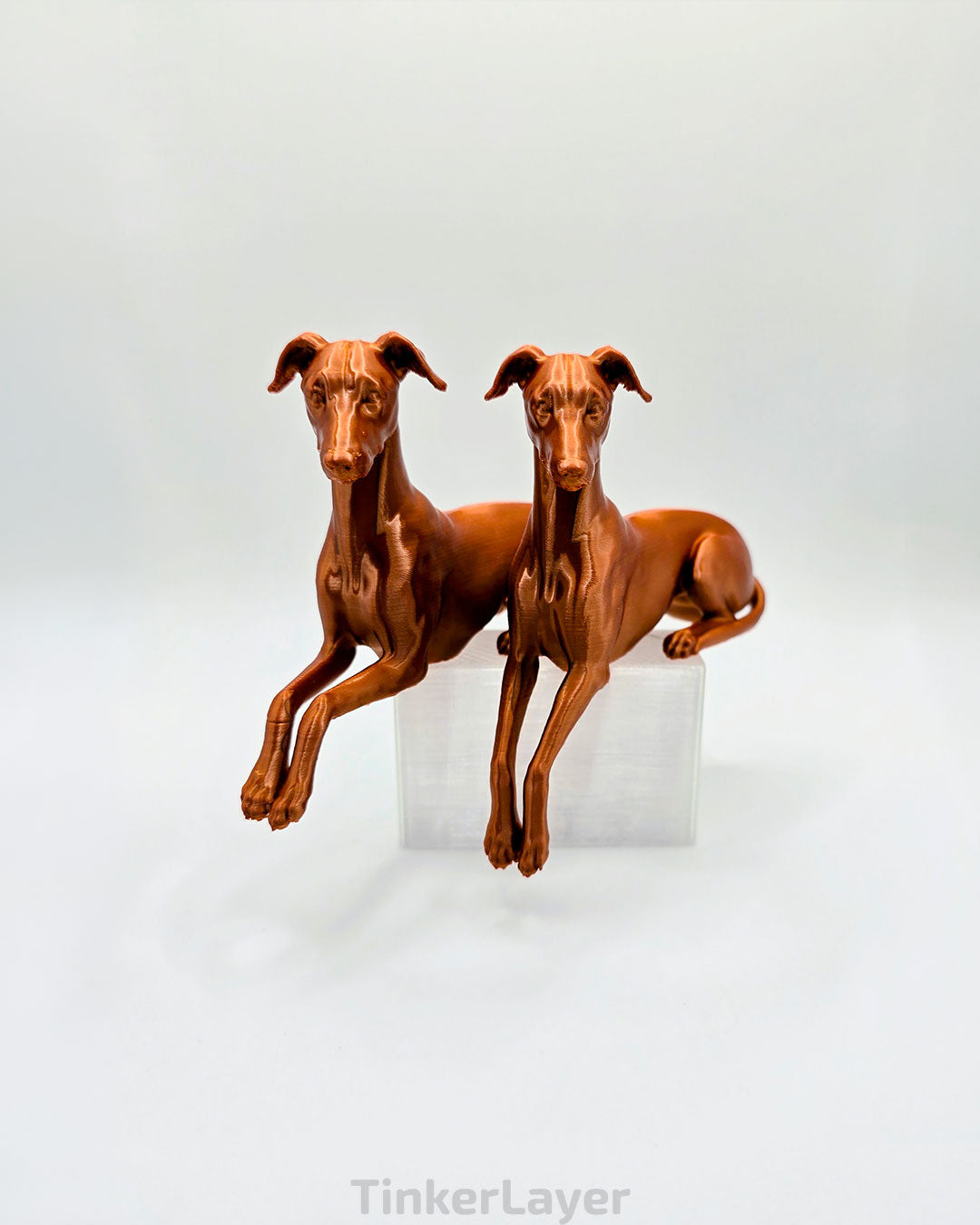 Whippet Shelf Lounger
