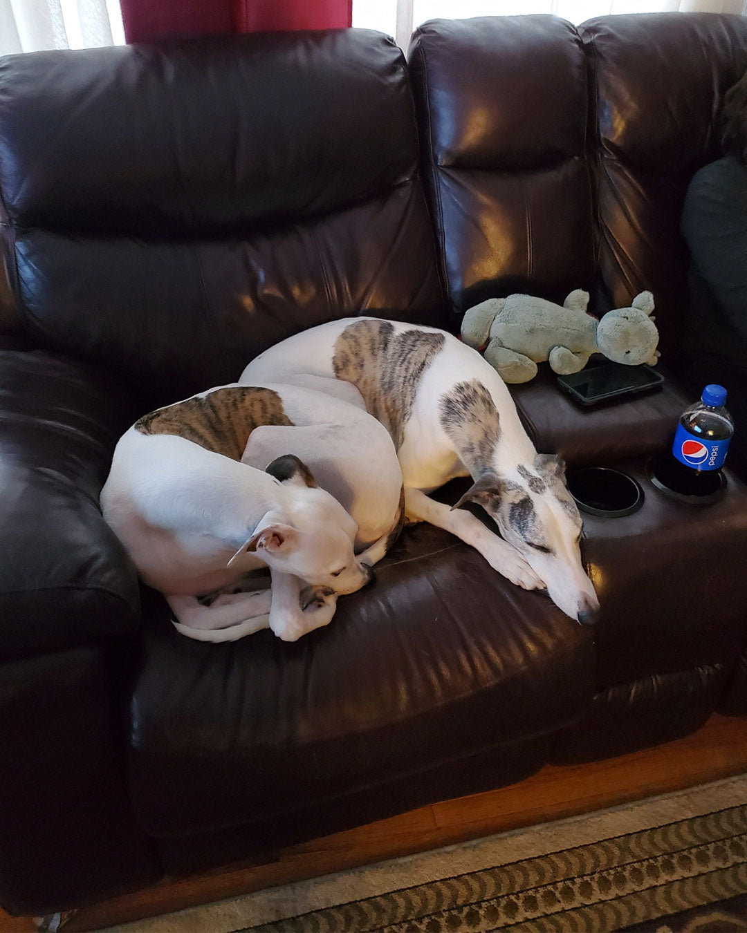 Cuddling Whippets Statue
