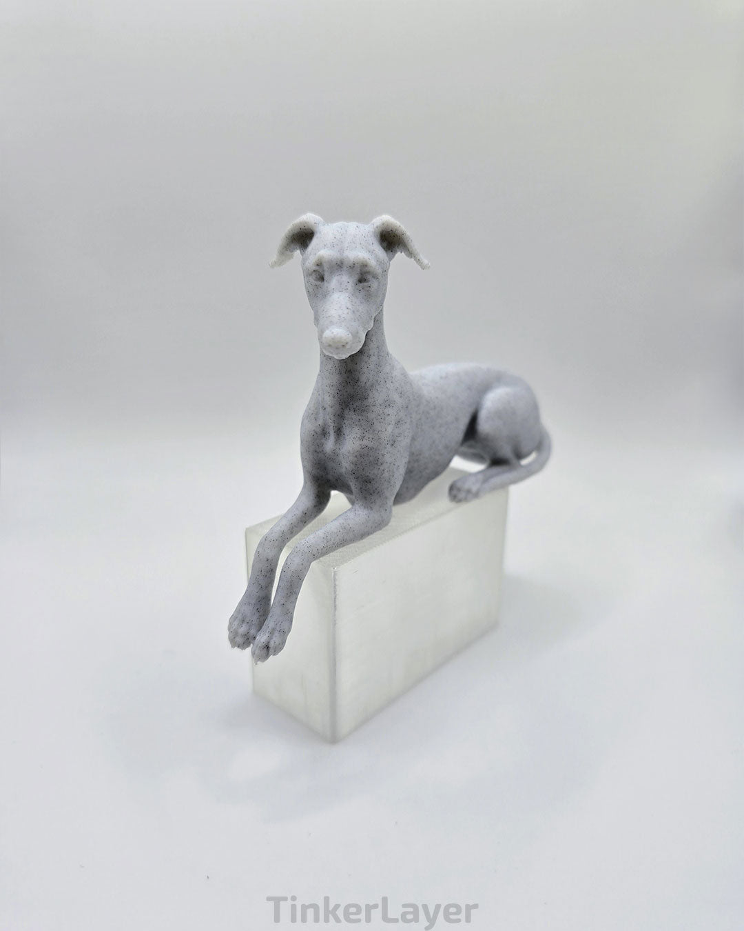 Whippet Shelf Lounger