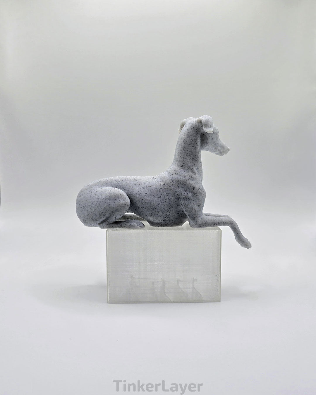 Whippet Shelf Lounger