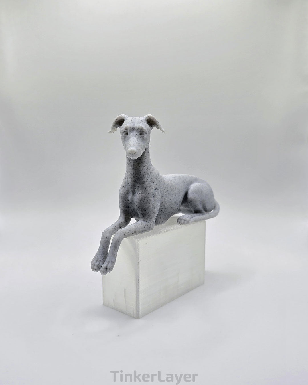 Whippet Shelf Lounger