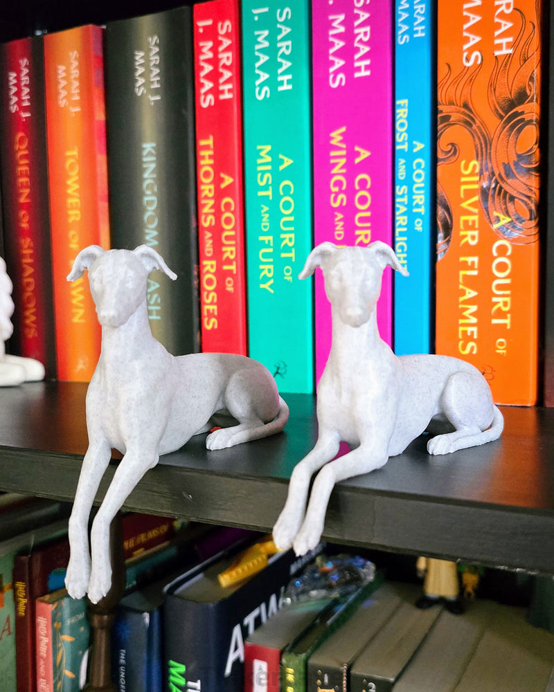 Whippet Shelf Lounger displayed on a bookshelf