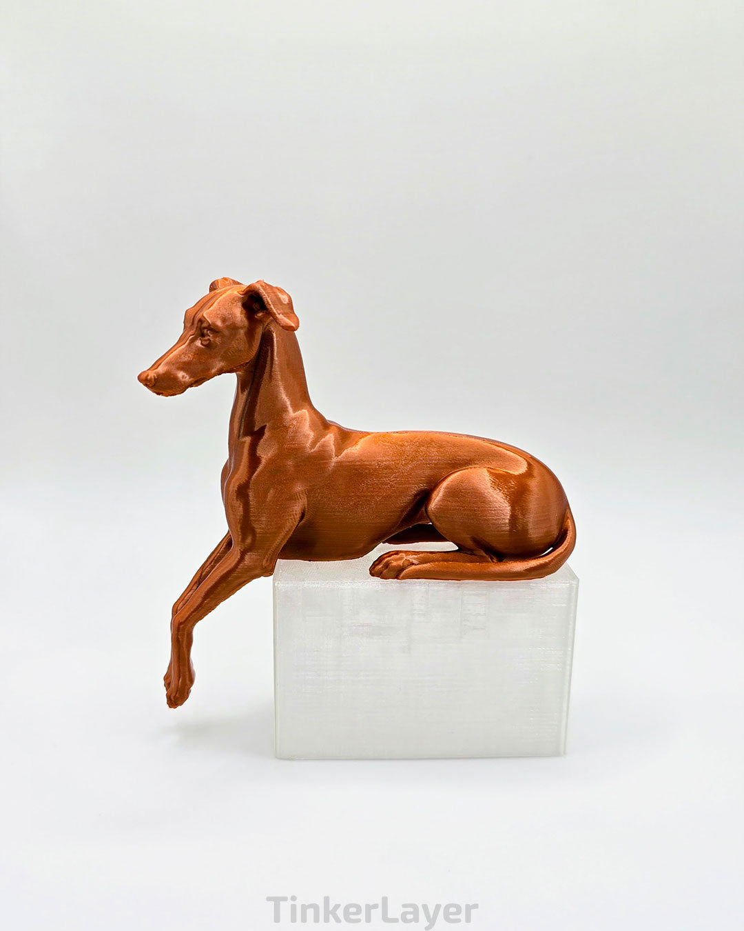 Whippet Shelf Lounger