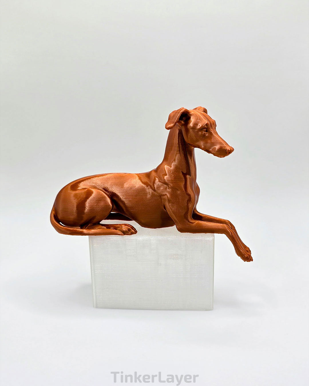 Whippet Shelf Lounger