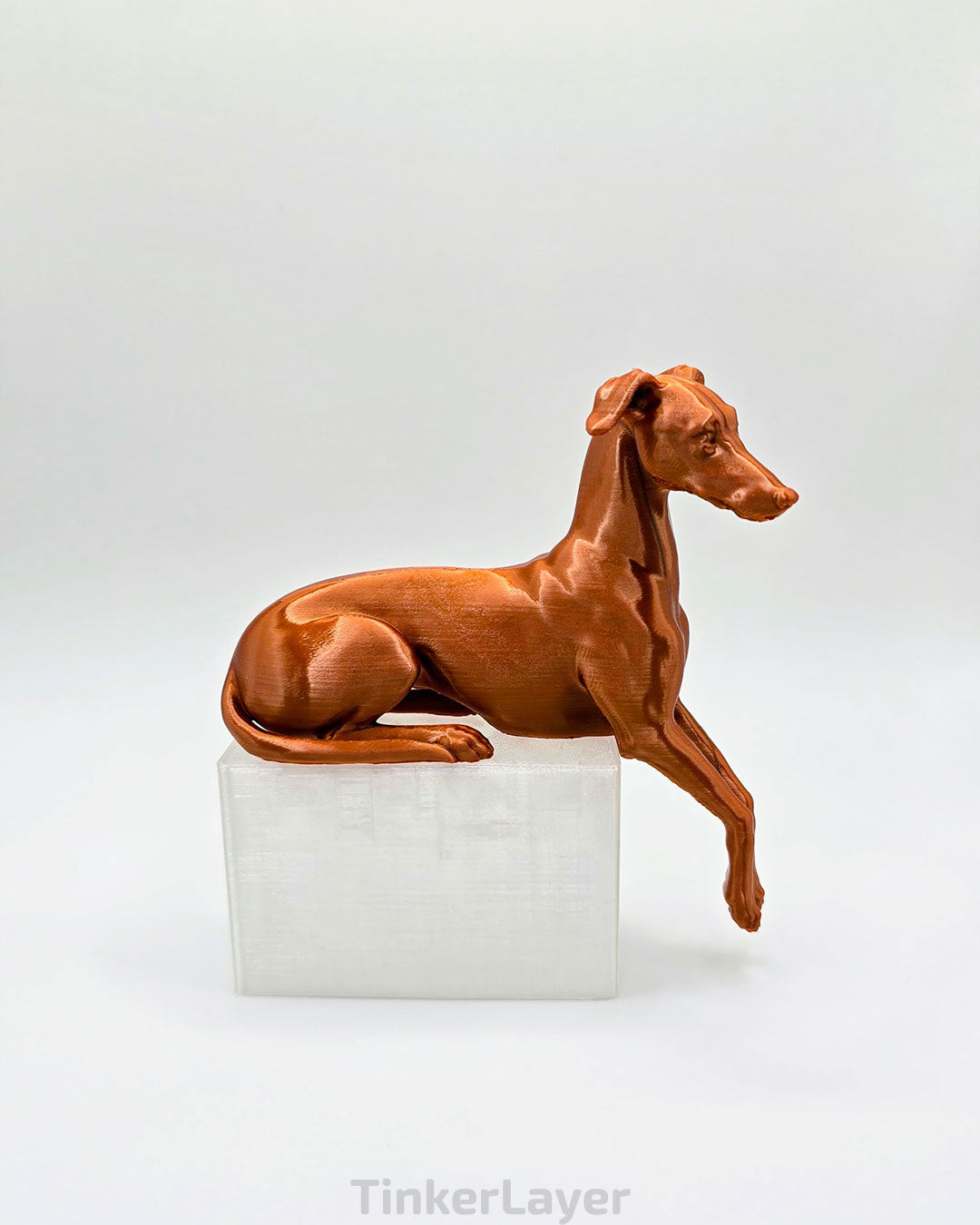 Whippet Shelf Lounger