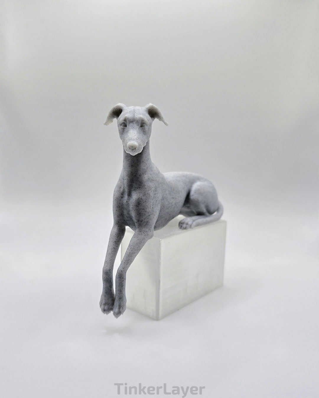 Whippet Shelf Lounger