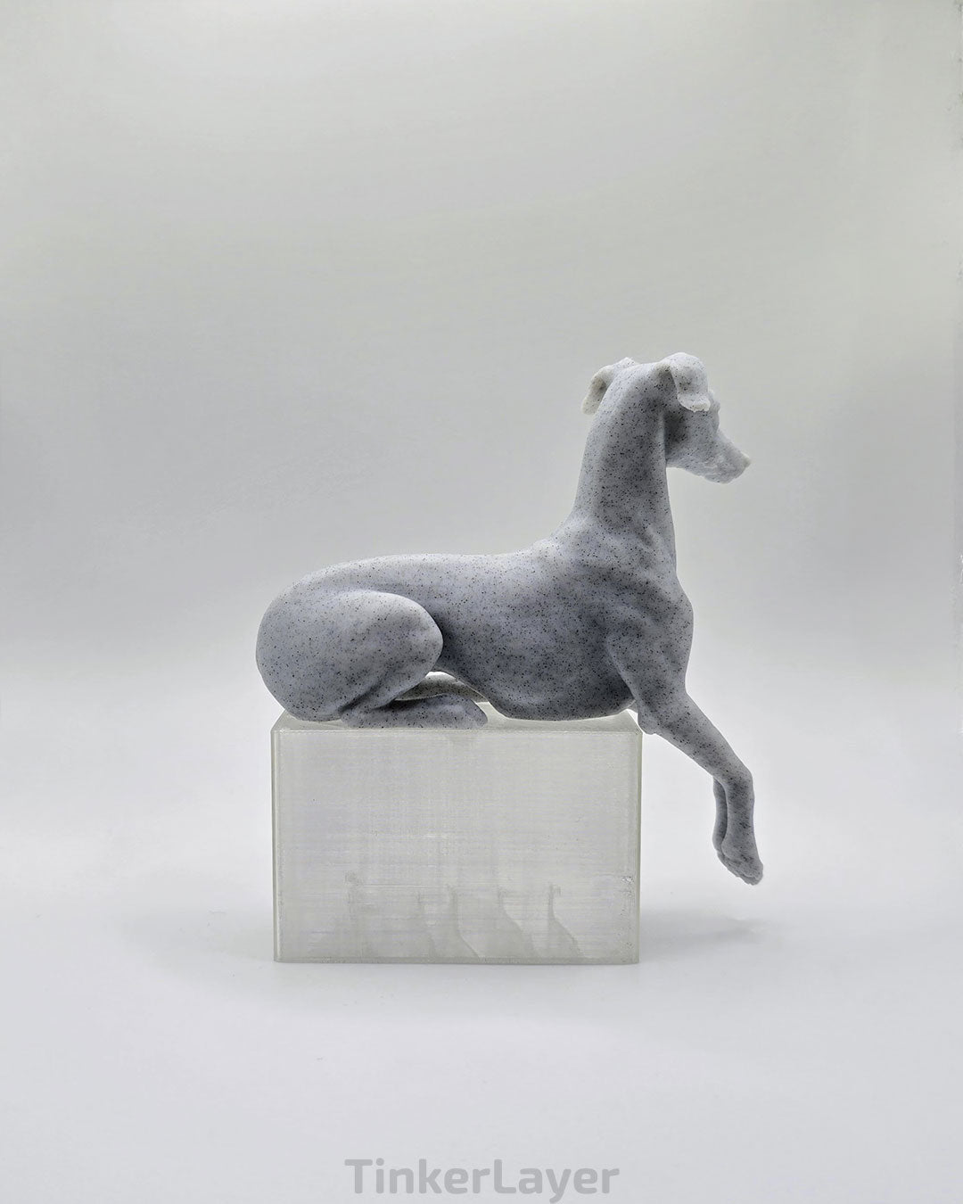 Whippet Shelf Lounger