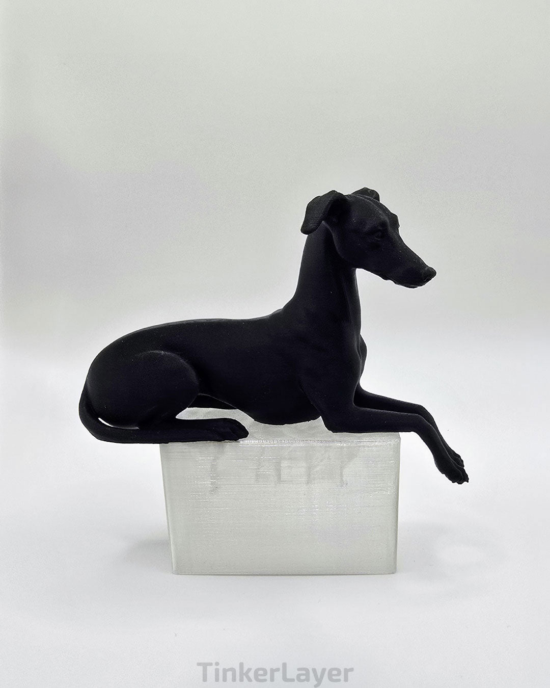 Whippet Shelf Lounger