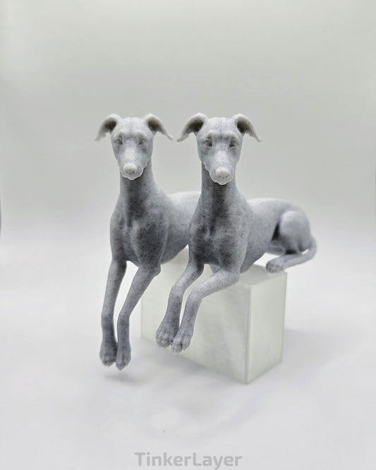 Whippet Shelf Lounger