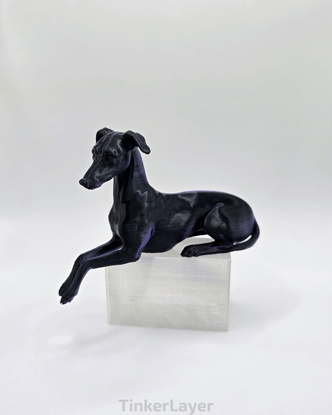 Whippet Shelf Lounger