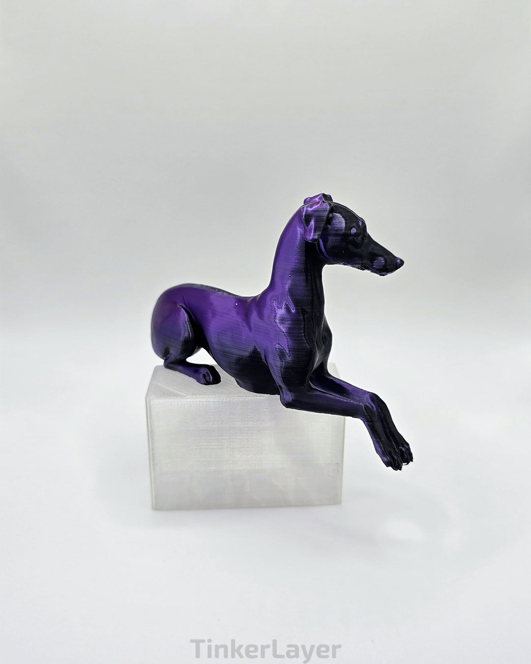 Whippet Shelf Lounger