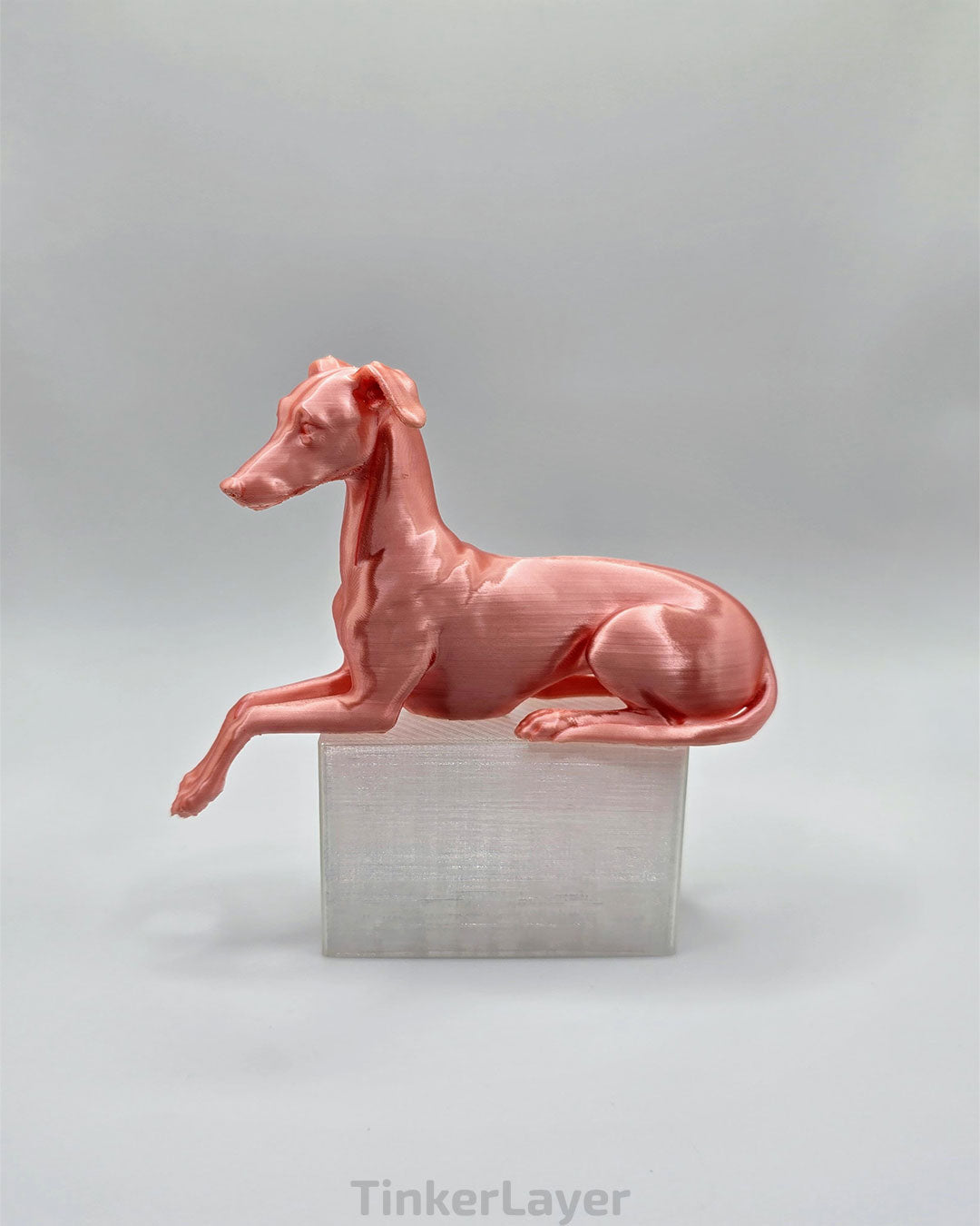 Whippet Shelf Lounger