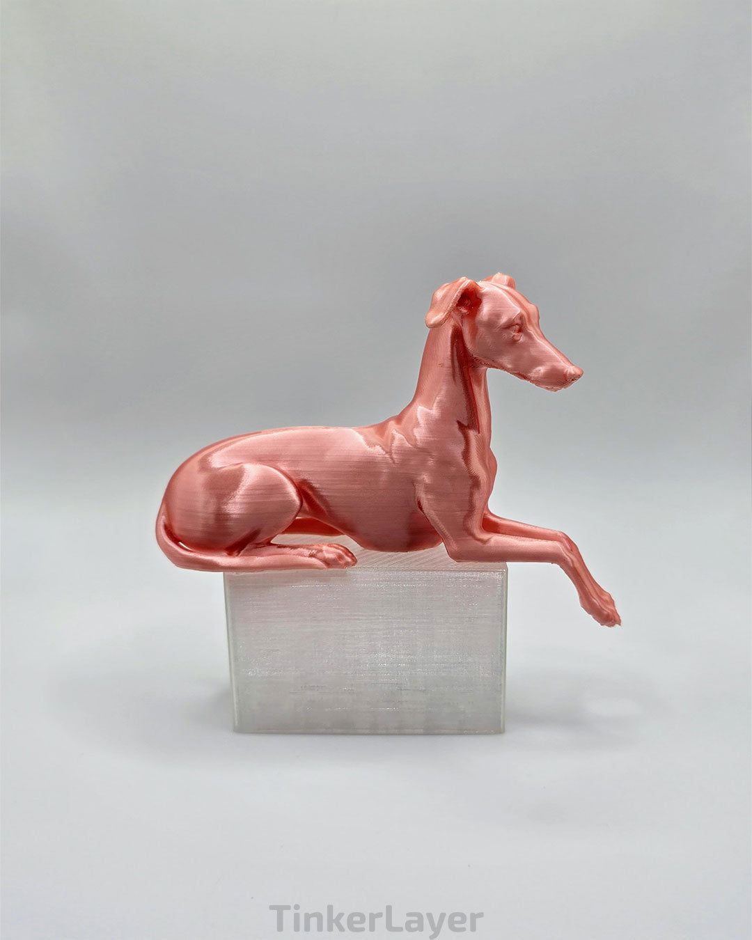 Whippet Shelf Lounger